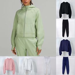 Tute tute Pantaloni sportivi da donna Felpe con cappuccio Set Designer Giacche Abbigliamento da yoga Pantaloni sportivi in pile di cotone Scuba Tech autunno e inverno lulus