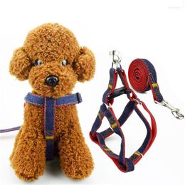 Dog Collars 2022 Arrival S Colorful Jean Denim Leash Harness Collar Chain Cat Rope Belt Adjustable Dogs