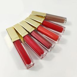 Lip Gloss Lipstick Private Label Custom 30 Colour Bulk Makeup