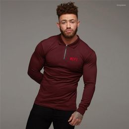 Men's Polos Men's Spring And Autumn Lapel Polo Shirt Business Casual Tops Plus Size Loose Half Zip Long Sleeves