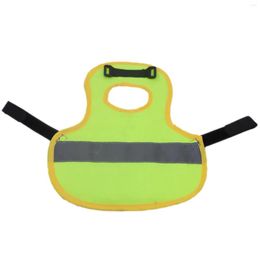 Cat Carriers Chicken Vest For Hens Pet Reflective With Adjustable Strap Poultry Hen Saddle Comfortable Apron Feather