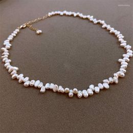 Choker Elegant Vintage Süßwasserperlen Halskette 2022 Trend unregelmäßiger Perlenhochzeit Halsketten für Frauen Mädchen Teenager Neckschmuck