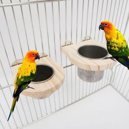 Other Bird Supplies AsyPets Food Bowl For Parrot Stainless Steel Water Basin Trough Tools