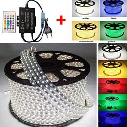 Strips LED Strip RGB SMD Waterproof AC220V Light Music Sound Sensor IR AC110V Bluetooth Controler For White