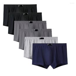 Underpants 6Pcs Male Panties Men's Underwear Breathable Sexy Man Boxer Soid Comfortable Plus Size Shorts L-6XL