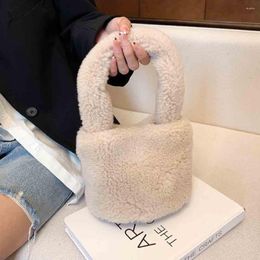 Evening Bags Winter 2022 Faux Fur Mini Shoulder Bag For Women Warm Short Plush Cute Tote Phone Pures Luxury Handbag White