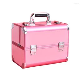 Storage Bags YY Professional Makeup Fixing Artist Eyelash Beauty Manicure Eyebrow Tattoo Special Suitcase