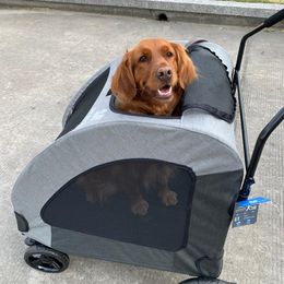 Dog Car Seat Covers Large Cart Huge Disabled And Injured Special Multiple Cats Go Out Fold Pet Stroller