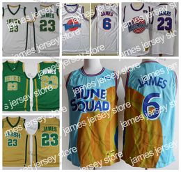 College Basketball Wears Mens St. Vincent Mary High School Irish LeBron James Jerseys Basketball #23 Stitched Shirts Tune Squad Looney Monstars Space Jam DNA Jersey