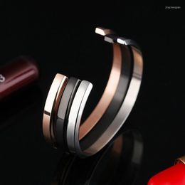 Bangle Fashion Rose Gold Colour Zircon Cuff Bracelets For Women Party Silver Open Bangles Men Jewellery Lovers