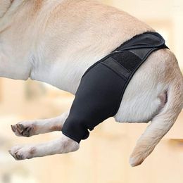 Dog Apparel Diving Fabric Breathable Mesh Protect Joints Anti-Lick Wound Thigh Protector Leg Assist Fixed Protective Gear