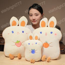 Kawaii Soft Warm Toast Fruit Rabbit Plush Stuffed Toy Doll Pillow Home Sofa Bed Decor Cushion Cute Baby Girlfriend Birthday Gift