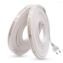 Strips LED Strip EU 220V Waterproof Constant Current Natural White/Warm White/White 4040 100leds/m Flexible Ribbon Tape Light Lamp