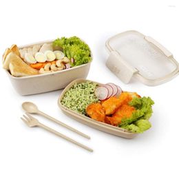 Dinnerware Sets 800ml Container Eco-Friendly Wheat Straw Lunch Box Double Layer Locking Buckle Leakproof Bento School Office Meal Prep