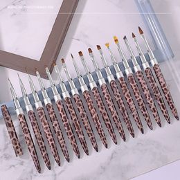 Makeup Tools 16pcsset Nail Art Tools Leopard Print Brush Set Pull Line Color Painting Flower Gradient Smudge Petal Brush Nail Art Supplies 221024