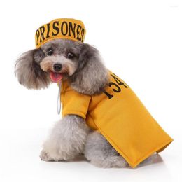 Dog Apparel Puppy Christmas Pet Supplies Clothes Pirate Cloak Halloween Wizard Suit Funny Alternative Personalised Costume