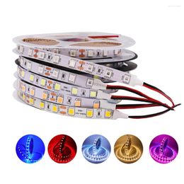 Strips 12V Led Strip 5M 300 Pixel Flexible Light Tape 5054 Waterproof IP65 IP67 Home Decoration Blue/White/Warm White/Pink 8 Colours