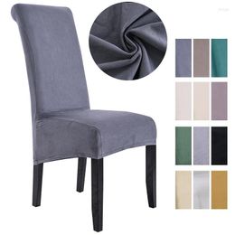 Chair Covers Stretch Velvet Dining Cover XL Size Slipcover For Restaurant El Party Large Chairs Banquet Room