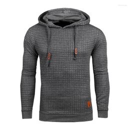 Men's Hoodies Men's & Sweatshirts Plaid Men 2022 Autumn Long Sleeve Solid Colour Hooded Sweatshirt Coats Male Hoodie Casual Sportswear