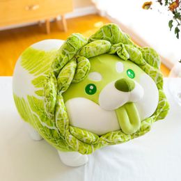 Plush Dolls Cabbage Shiba Inu Dog Cute Vegetable Fairy Anime Toy Fluffy Stuffed Plant Soft Doll Kawaii Pillow Baby Kids Toys Gift 221024