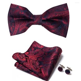 Bow Ties 2022 Design Wholesale Jacquard Silk Holiday Gift Tie Pocket Squares Cufflink Set For Men Suit Accessories Red Paisley