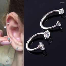 Stud Earrings Stainless Steel Fashion Crystal CZ Hoop Earring Women Tragus Cartilage Studs Nose Rook Daith Piercing Jewelry