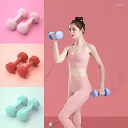 Dumbbells 2pcs Fitness Dumbbell Set For Women Bodybuilding Weights Workout Exercise Weightlifting Gym Portable Equipment