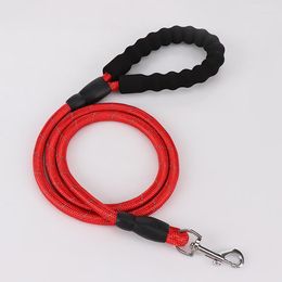 Dog Collars Accessory Leash Pet Articles For Pets Acessorios Puppy Harness Shop All Dogs Accessoires Small Collar Items Belt
