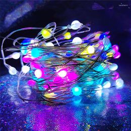 Strings LED Fairy Lights 10M USB String Remote Control WS2812B SK6812 Pixels RGB For Christmas Decorations Home