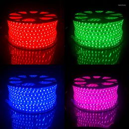 Strips 100 Meter LED RGB Strip AC 220 V 240 Exterior Waterproof IP67 Light Ruban M SMD Flexible Ribbon Tube Lampara CE ROSH