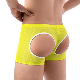 Underpants Sexy Men Boxers Mesh Back Holes Both Side Breathable Underwear Boxershorts Underpant Panties Lingerie