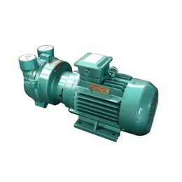 Professional manufacturer universal pump 2BV series water liquid ring vacuum pump please contact us to purchase