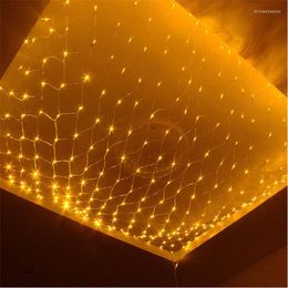 Strings Led Net Lights 220V Wedding Decoration Christmas Fairy String Light Outdoor Holiday Festival Multi Garden Lamp