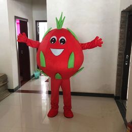 Performance fruit Mascot Costumes Carnival Hallowen Gifts Unisex Outdoor Advertising Outfit Suit Holiday Celebration Cartoon Character Outfits