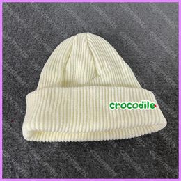 Street Fashion Designers Beanie Hat Women Beanies Classic Caps Hats Mens Winter Cap Sports Crocodile Embroidery Autumn Casquette D2111025F