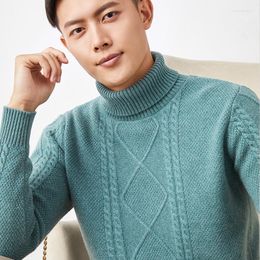 Men's Sweaters Classic Men's Clothes Turtleneck Autumn Winter Merino Wool Knitted Pullover Men Long Sleeve Warm Loose Tops S-3XL