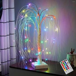 Lumi￨res nocturnes RGB LED saule 16 Couleurs ￠ changement de couleur D￩coration de No￫l ￠ distance 60led Fairy Lamp For Bedroom Home Decorative
