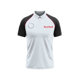 Men's T-shirts Summer Polo Shirts F1 Formula Bmw Sauber Team Fans Casual Workwear Custom Unisex