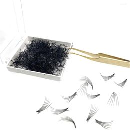 False Eyelashes 6D Premade Loose Fans Eyelash Russia Volume Extension Training Short Stem Grafting