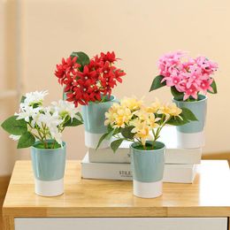 Decorative Flowers Bougainvillaea Bonsai Creative Ornaments Feel Simulation Flower Factory Direct Supply Plant Silk Artificial