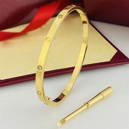 Charm Fashion Jewellery luxury bangle party European and American fashion large nails classic inlaid zirconia screwdriver bangles designer bracelet women gifts