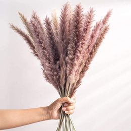 Dekoration Dried Pampas Grass Decor Wedding Flower Bunch Natural Plants for Home Christmas Decorations RRA272