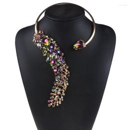 Choker Brand Crystal Open Necklace Women Fashion Simple Boho Statement Large Collar Jewellery Femme Maxi Charm