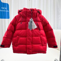 Brand Winter Down Coat Boys Girls downs Jackets Baby Button zipper Letter Parkas Fashion kids designer coats Woolen Warm Snowsuit Hooded Outerwear Long Coat jacket