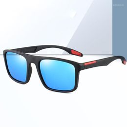 Sunglasses Polaroid For Men Vintage Square Driving Sun Glasses Male Fashion Men's High Quality Eyewear Mirror UV400