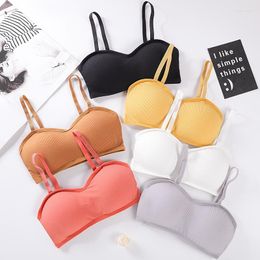 Bustiers & Corsets Women Sexy Bras Push Up Lingerie Invisible Padded Bralette Wrap Top Bra Bustier Female Underwear White Tube