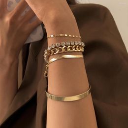 Charm Bracelets Gold Silver Punk Snake Chain Bracelet For Women Girls Fashion Link Crystals Hip Hop Trendy Jewellery