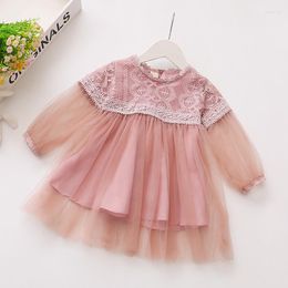 Girl Dresses Baby Princess Dress Long Sleeve Tulle Lace Embroidery For Borns Infant Clothing Kids Spring Outfits Little Girls