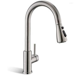 Kitchen Faucets Faucet With Pull Down Sprayer Brushed Nickel High Arc Single Handle Sink Water Lines