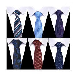 Bow Ties Fashion Brand Jacquard Silk Gravatas Man's Shirt Accessories Sliver Plaid St. Valentine's Day Tie Men Necktie